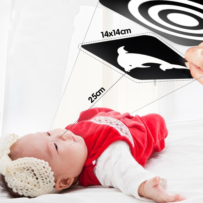 Black and White Baby Cards Flashcard